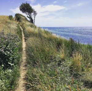 Stig vid havet